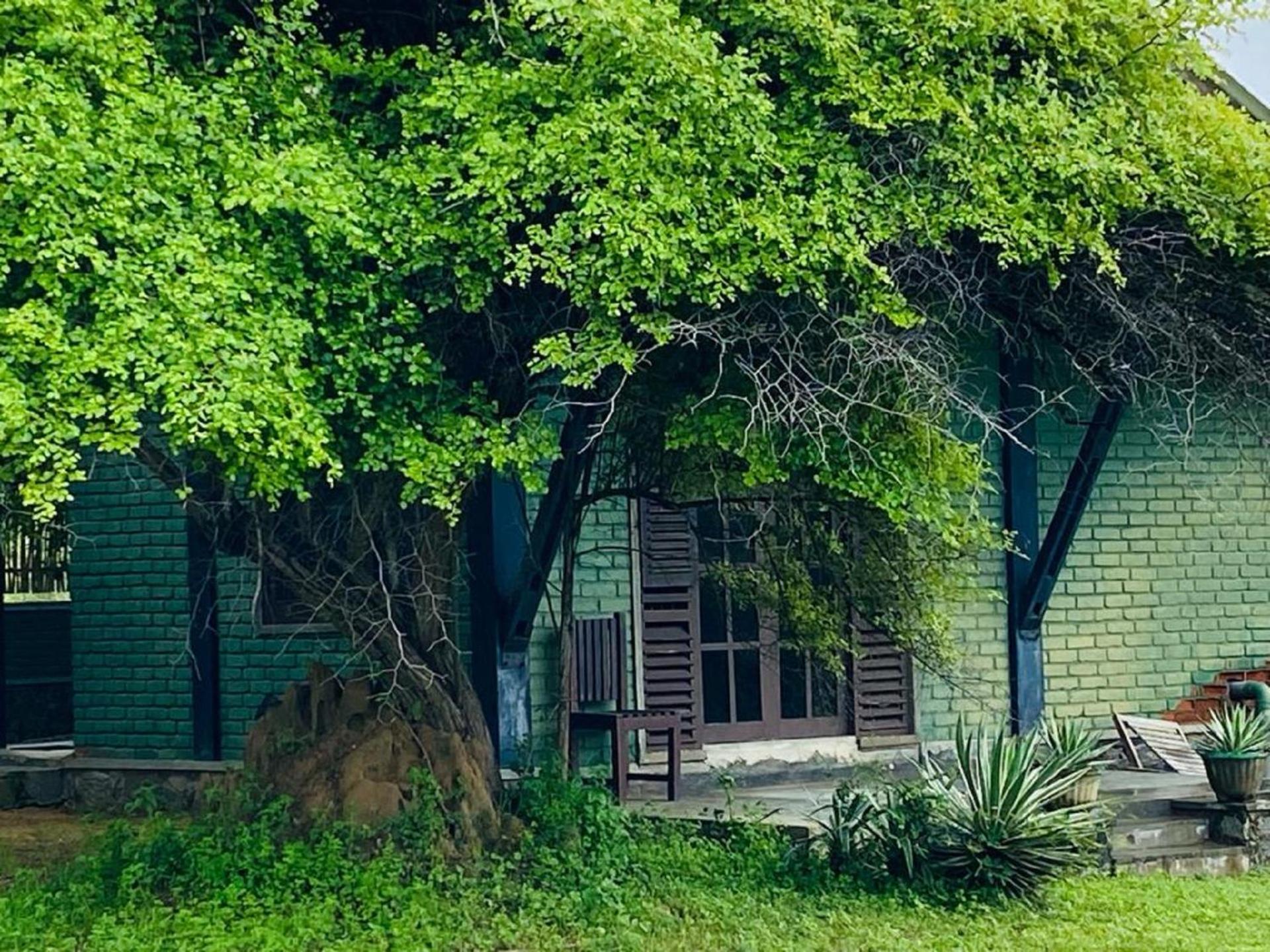 Yala Ying Yang Hostel & Camping ภายนอก รูปภาพ
