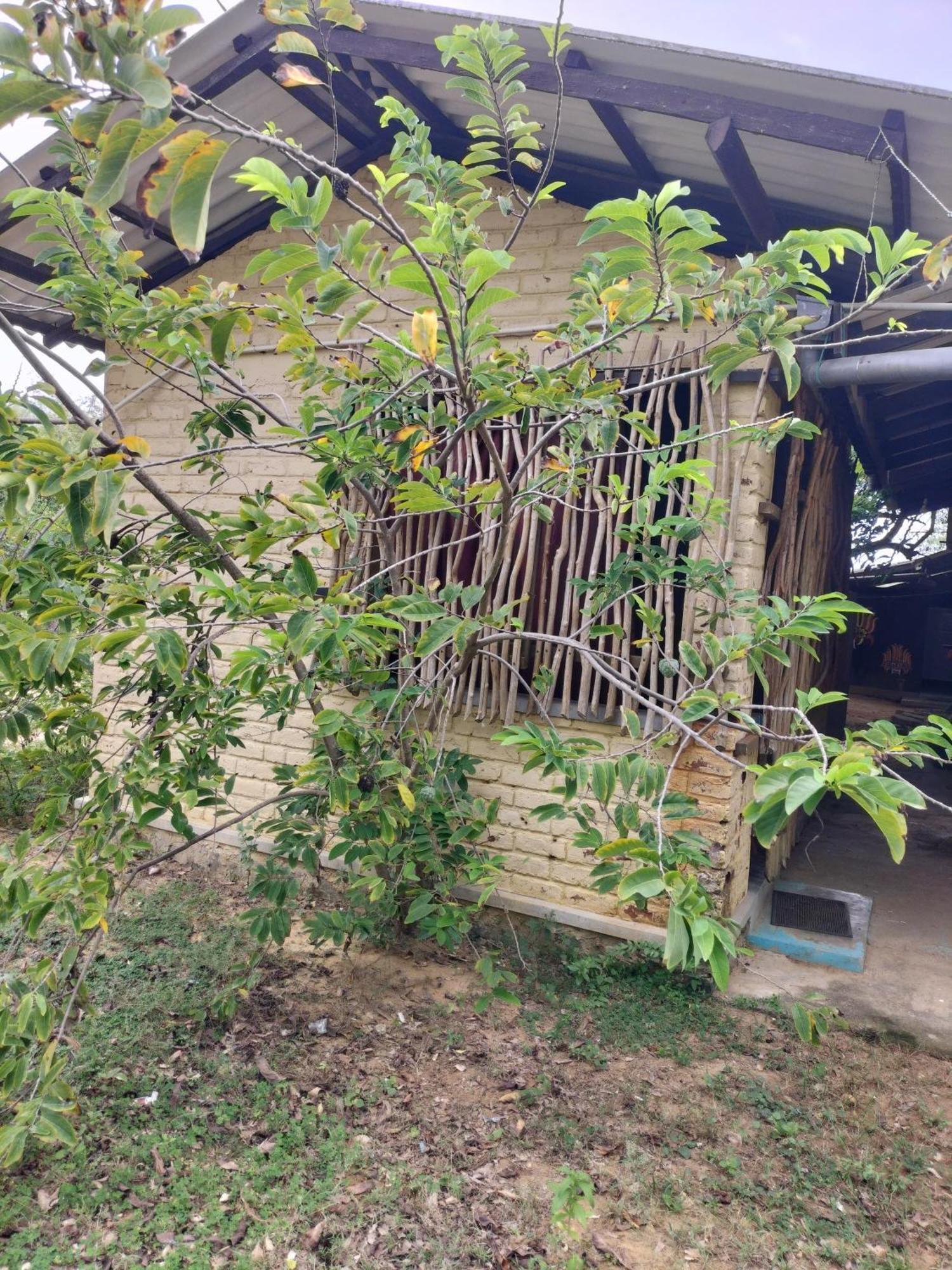 Yala Ying Yang Hostel & Camping ภายนอก รูปภาพ